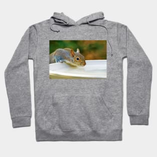 North American Ground Squirrel Hoodie